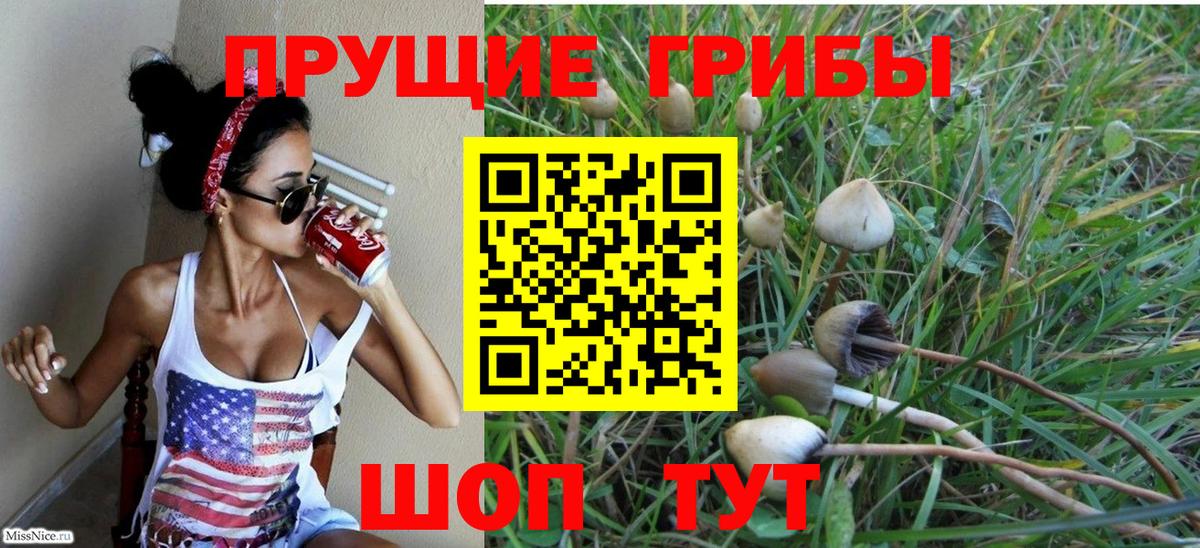 купить наркотики сайты  Галлюциногенные грибы Psilocybine cubensis  Вход с VPN  Краснодар 